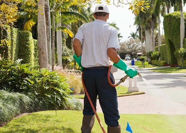 About West Millbury MA Pest Control Pros